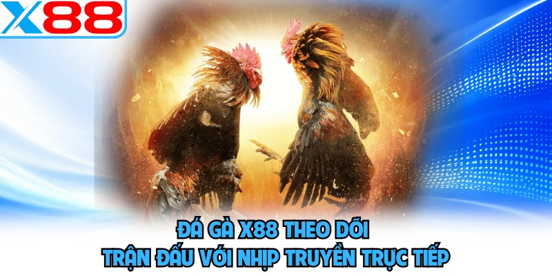 Đá gà X88 theo dõi trận đấu với nhịp truyền trực tiếp
